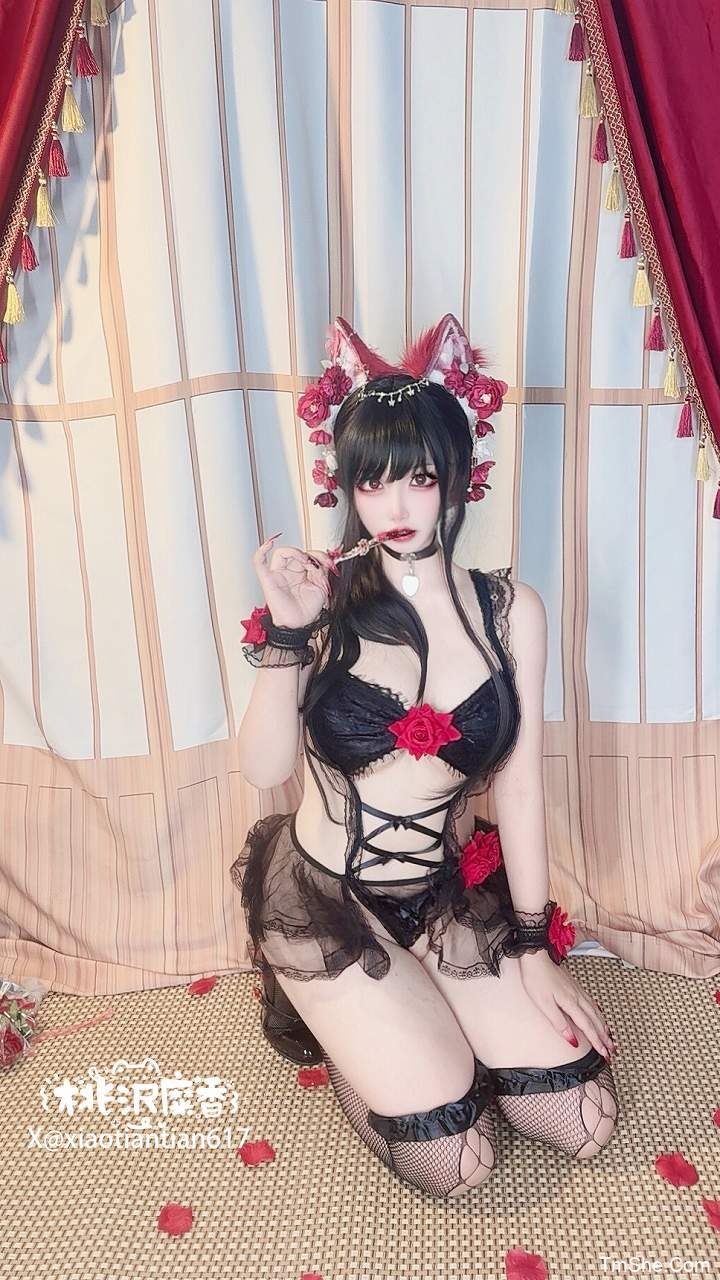 「筱田甜」视图 – 玫瑰内线(69P/19V/950MB)-猫萌