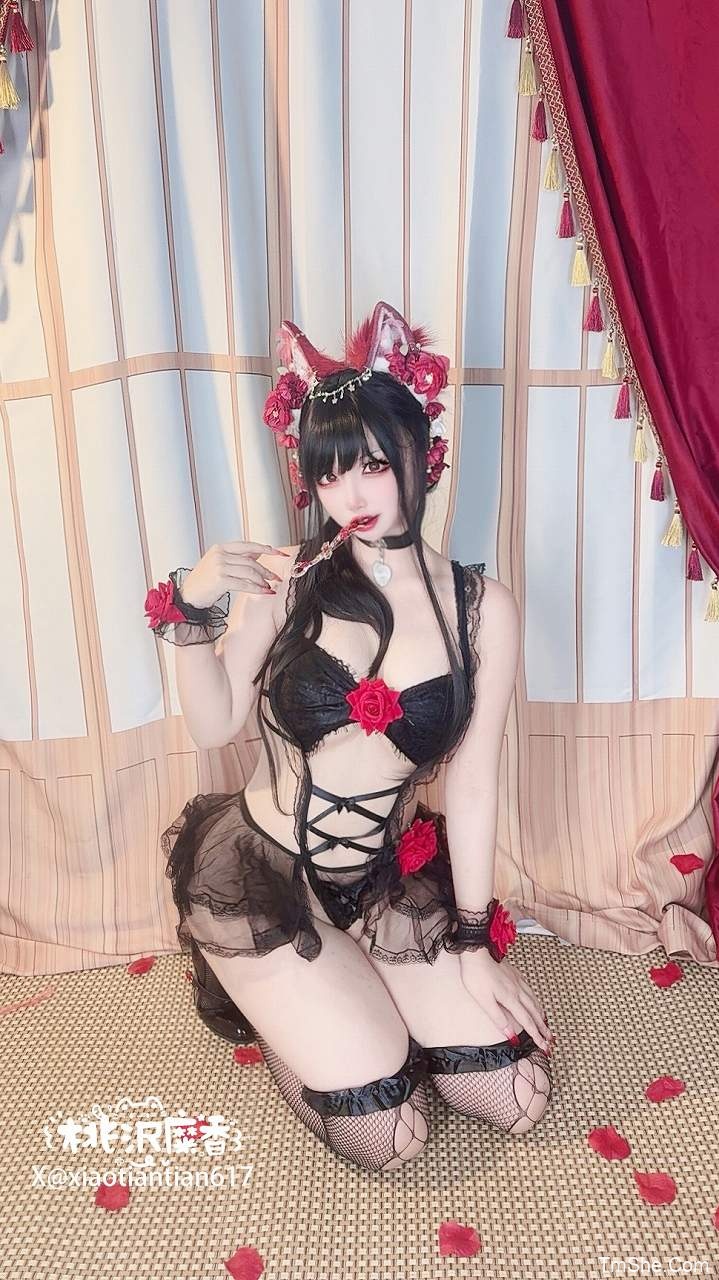 「筱田甜」视图 – 玫瑰内线(69P/19V/950MB)-猫萌