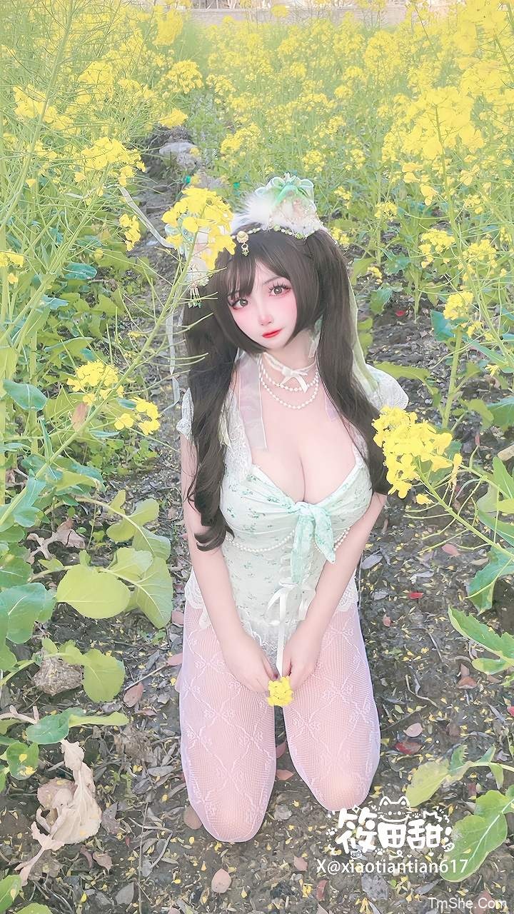 「筱田甜」视图 – 油菜花猫猫(70P/6V/1.50GB)-猫萌
