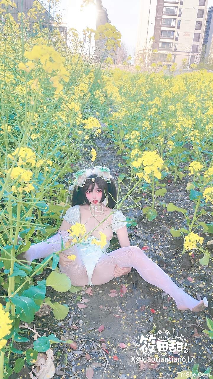 「筱田甜」视图 – 油菜花猫猫(70P/6V/1.50GB)-猫萌