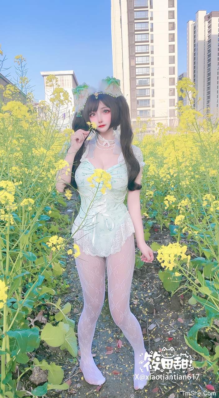「筱田甜」视图 – 油菜花猫猫(70P/6V/1.50GB)-猫萌