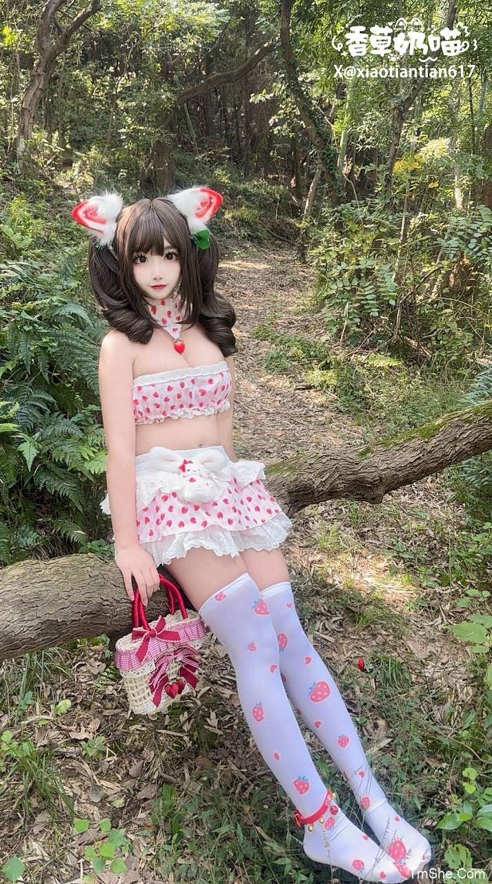 「筱田甜」视图 – 巧克力猫娘(73P/23V/3.10GB)-猫萌