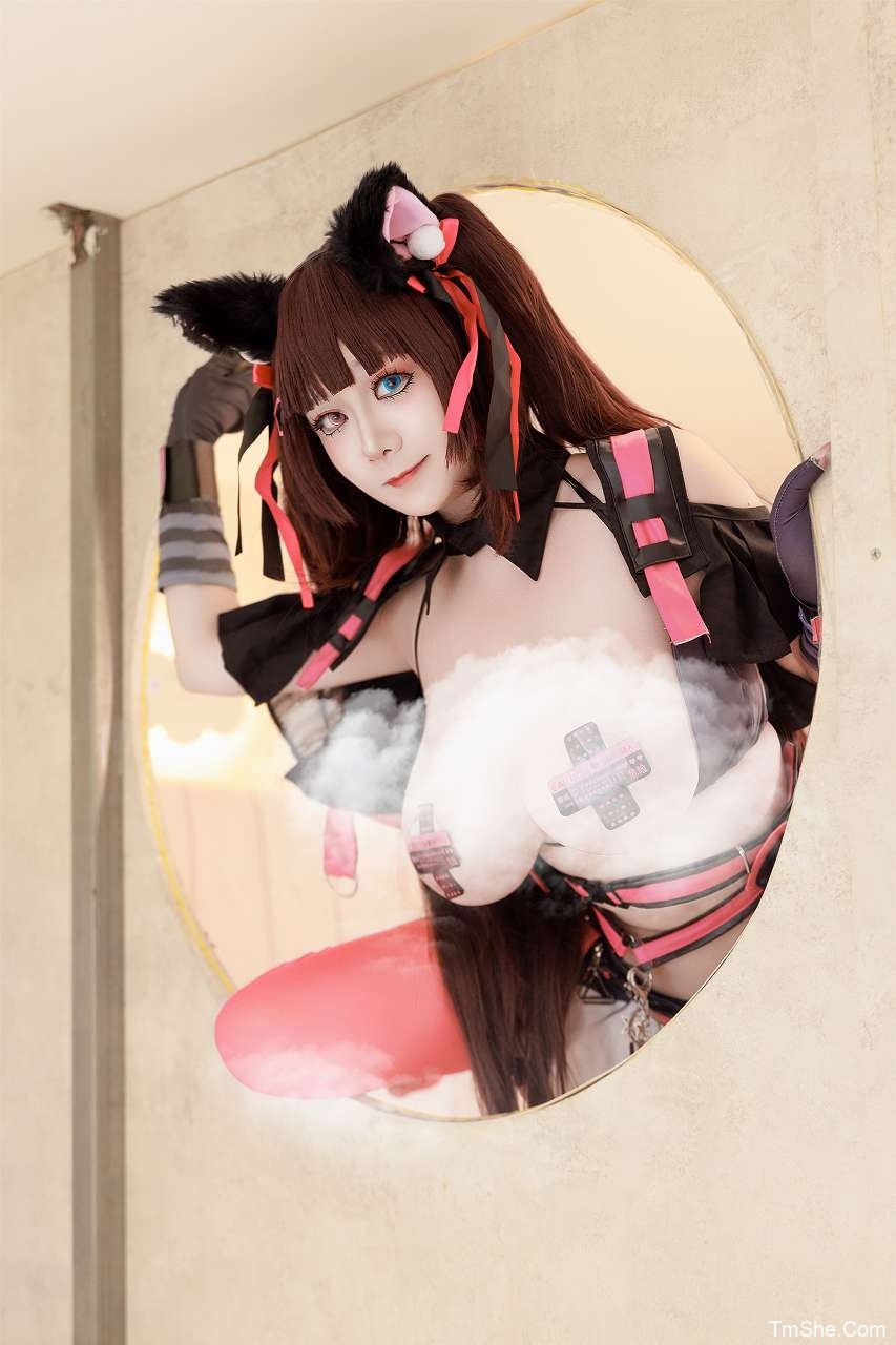 「阿雪雪」绘画素材 – 夏日尼罗(93P/2V/6.35GB)-猫萌