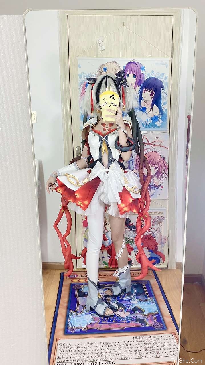 「白栎Shirly」绘画素材 – 椿(33P/13V/669MB)-猫萌