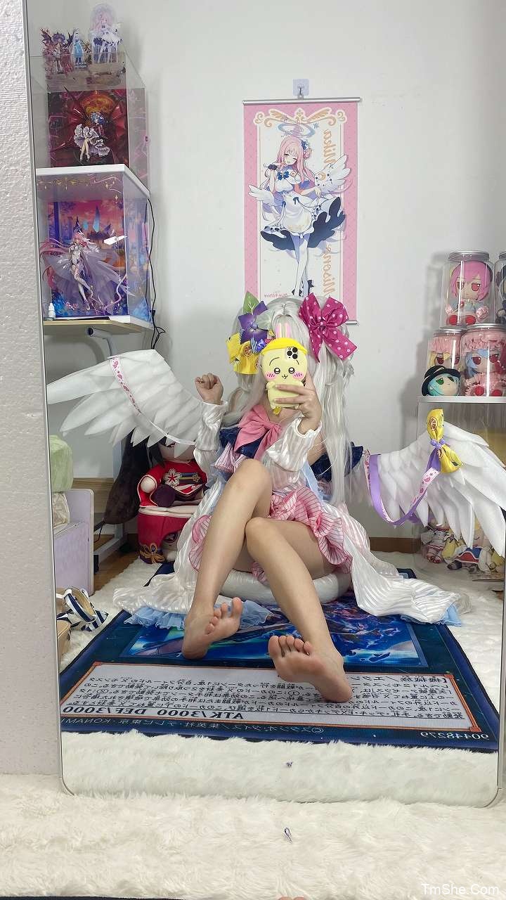 「白栎Shirly」绘画素材 – 水梓(74P/8V/671MB)-猫萌