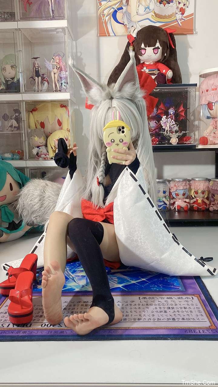 「白栎Shirly」绘画素材 – 朝凪Asanagi(66P/8V/873MB)-猫萌