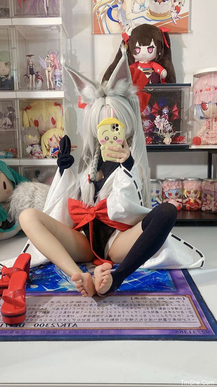 「白栎Shirly」绘画素材 – 朝凪Asanagi(66P/8V/873MB)-猫萌