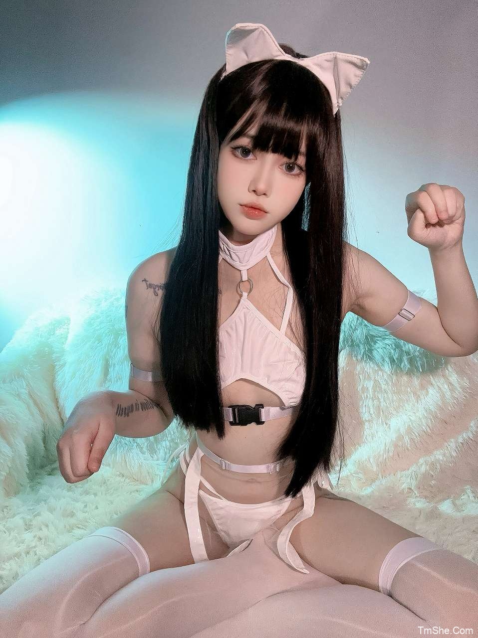 「猪突猛蛋」摄影素材 – 喵星人(50P/632MB)-猫萌