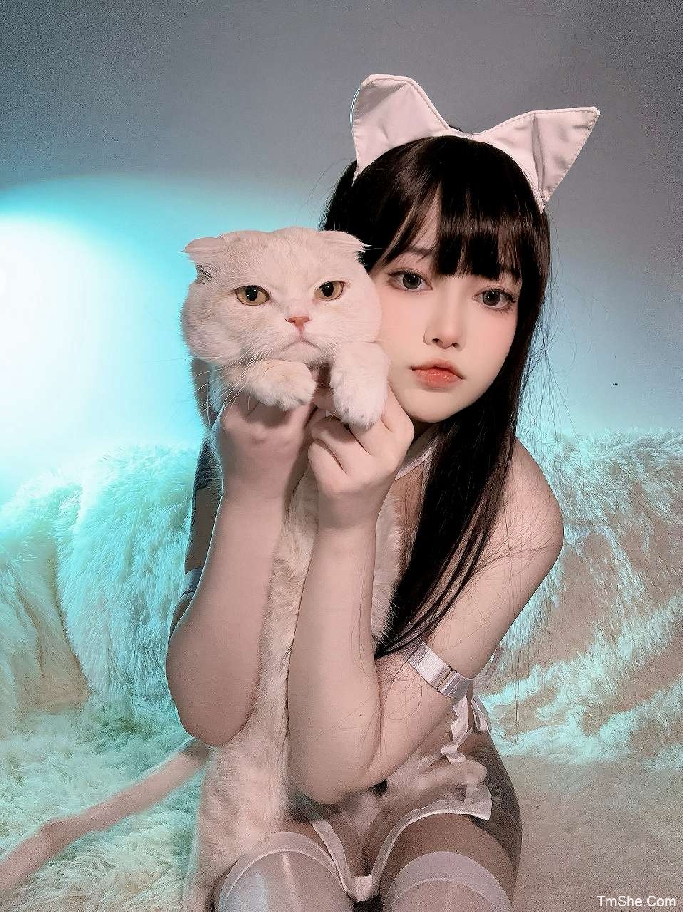 「猪突猛蛋」摄影素材 – 喵星人(50P/632MB)-猫萌