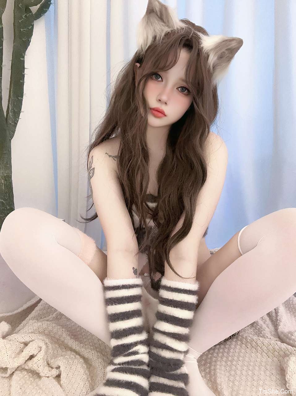 「猪突猛蛋」摄影素材 – 梦中情喵(38P/1V/232MB)-猫萌