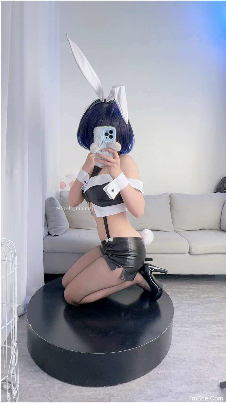 「Seele麦麦」兔女郎希儿 – 崩坏(83P/146MB)-猫萌