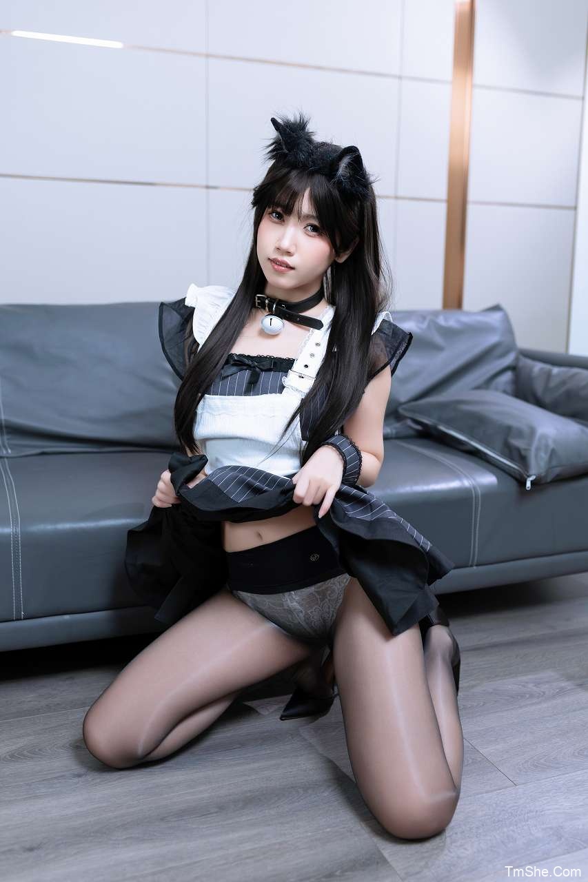 「不呆猫」绘画参考 – 猫猫女仆(148P/2V/3.55GB)-猫萌