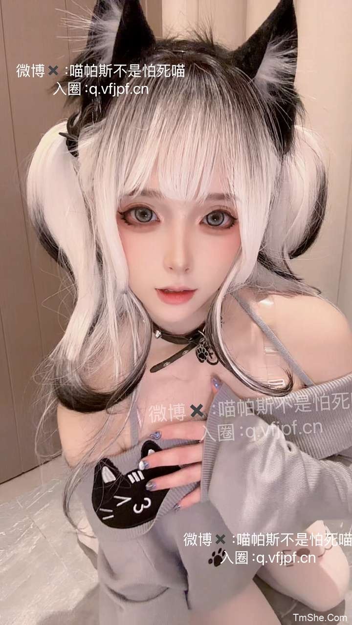 「喵帕斯不是怕死喵」视图 – 日常白丝喵(30P/1V/82MB)-猫萌