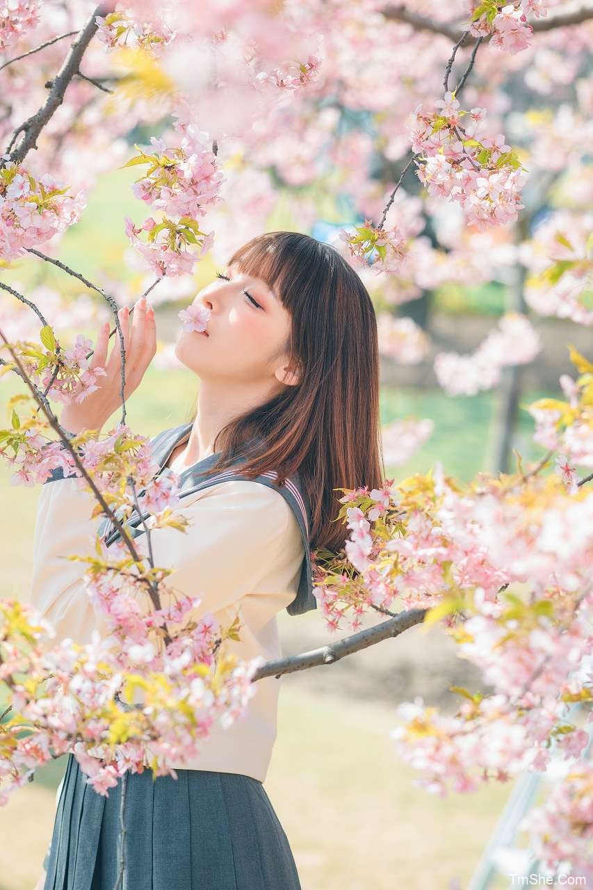 「祖木子」天枰君 - 辰山樱花(30P/555MB)-猫萌