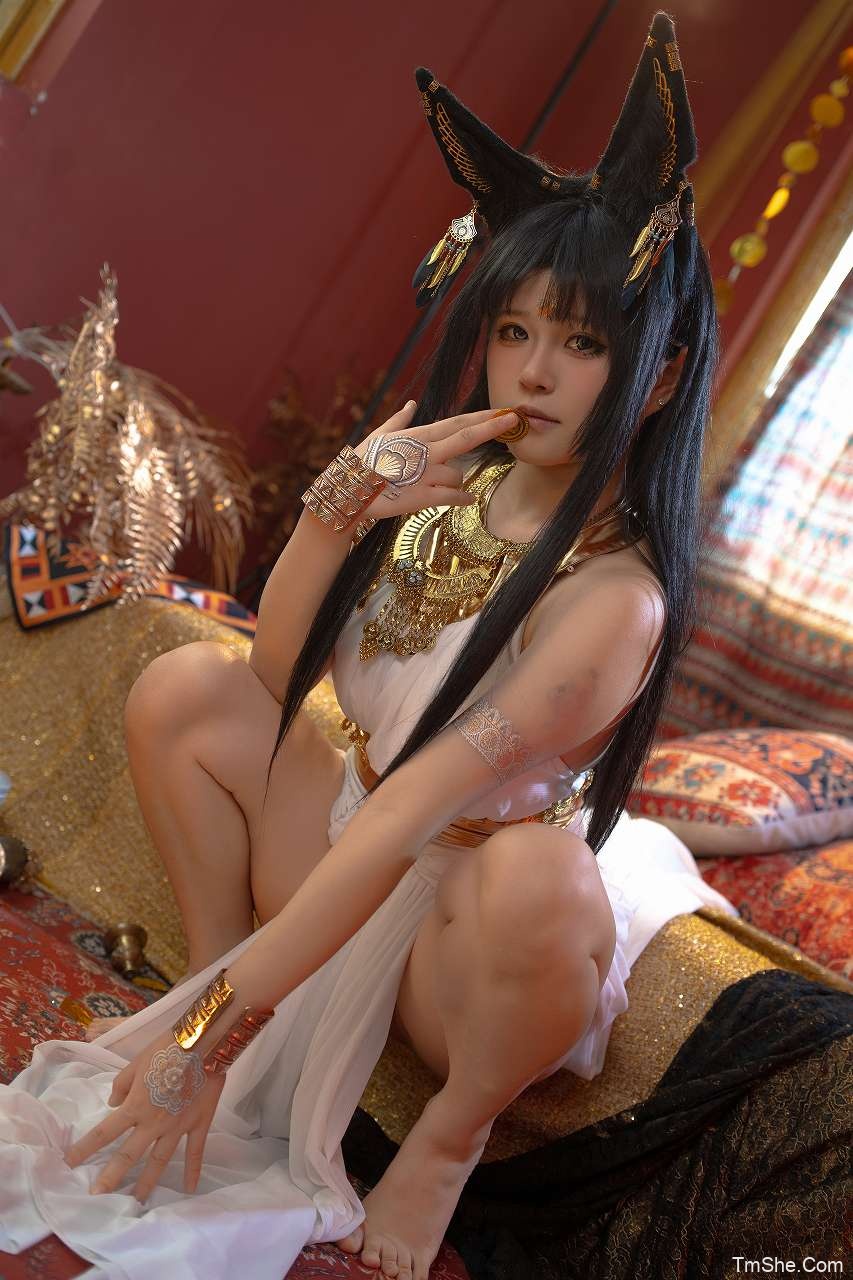 「渡久山」绘画素材 – VOL.20 异域猫(60P/1.25GB)-猫萌
