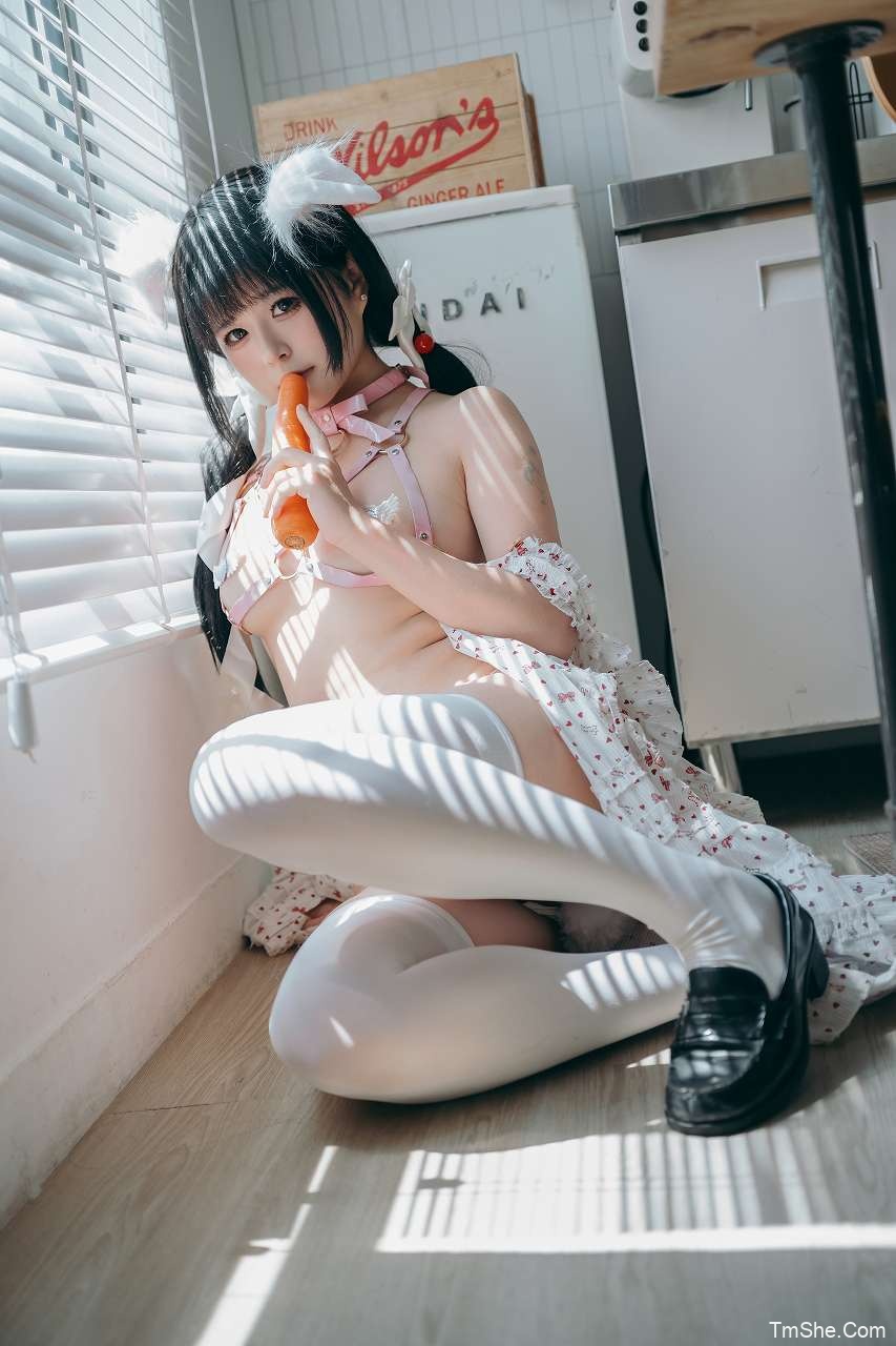 「渡久山」绘画素材 – VOL.19 兔子小姐(75P/3V/1.25GB)-猫萌