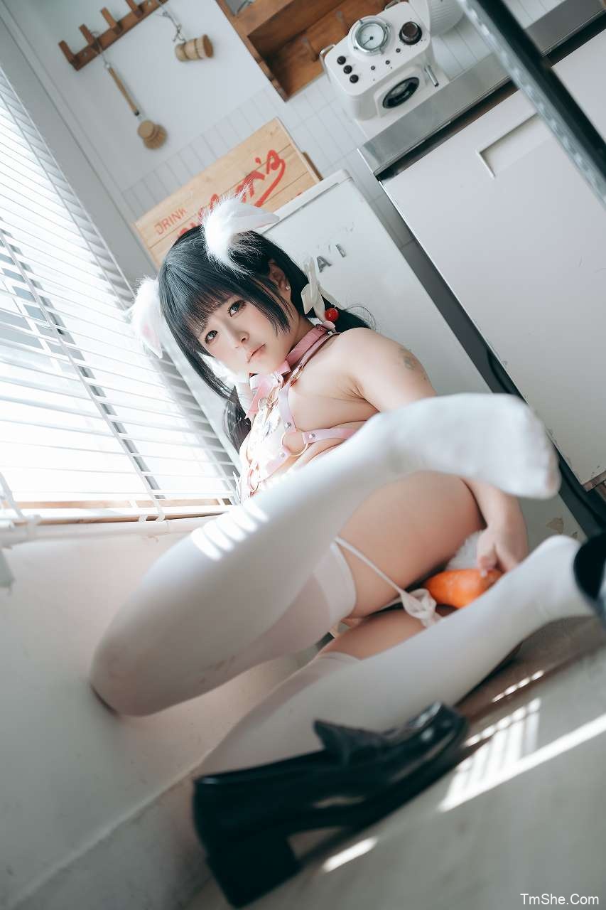 「渡久山」绘画素材 – VOL.19 兔子小姐(75P/3V/1.25GB)-猫萌