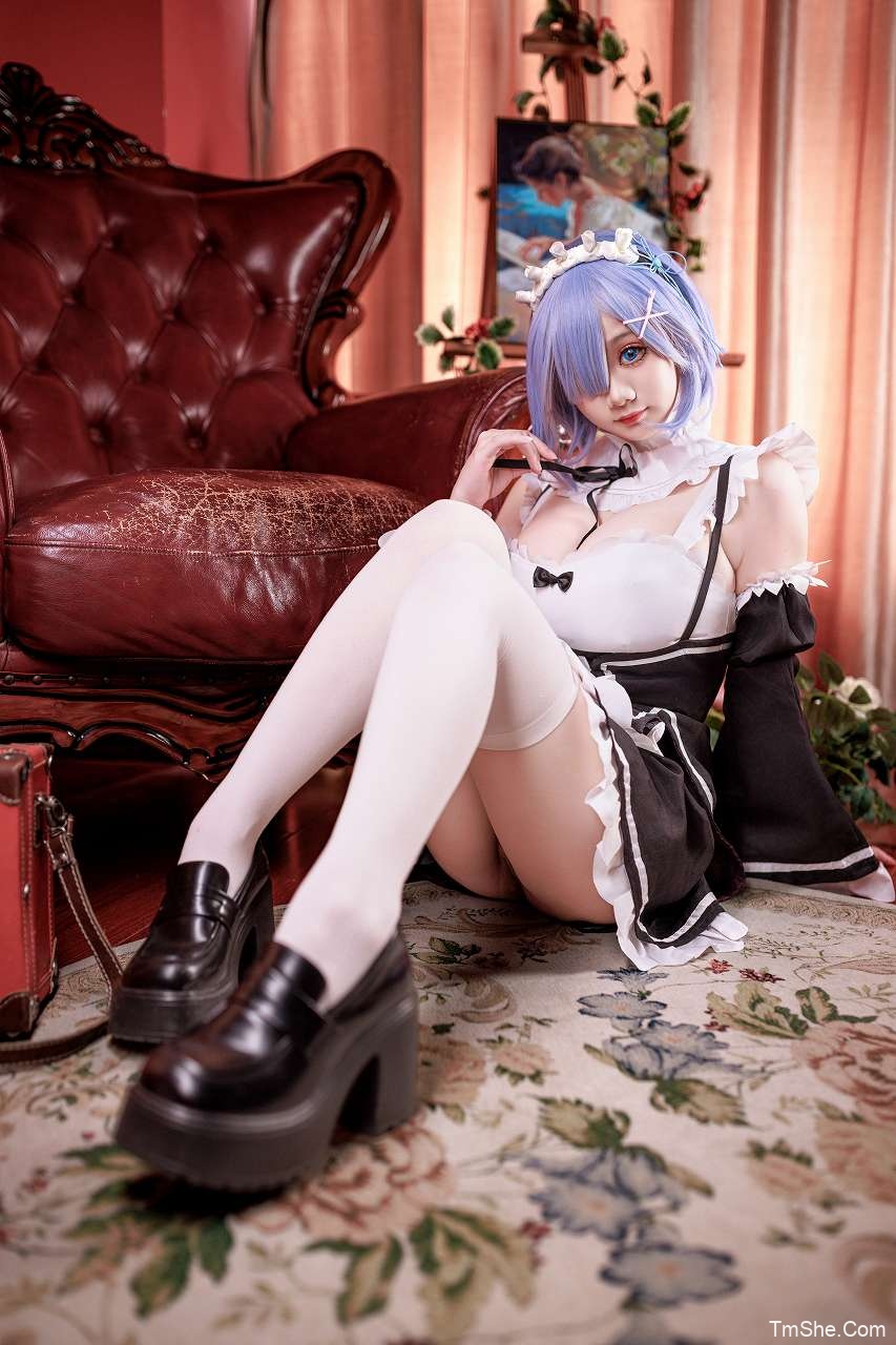 「阿雪雪」绘画素材 – 蕾姆女仆(87P/3V/2.95GB)-猫萌