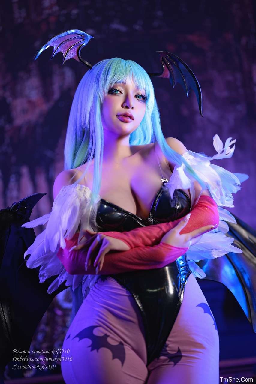 「Umeko J」Morrigan Aensland (Darkstalkers)(95P/9V/2.43GB)-猫萌