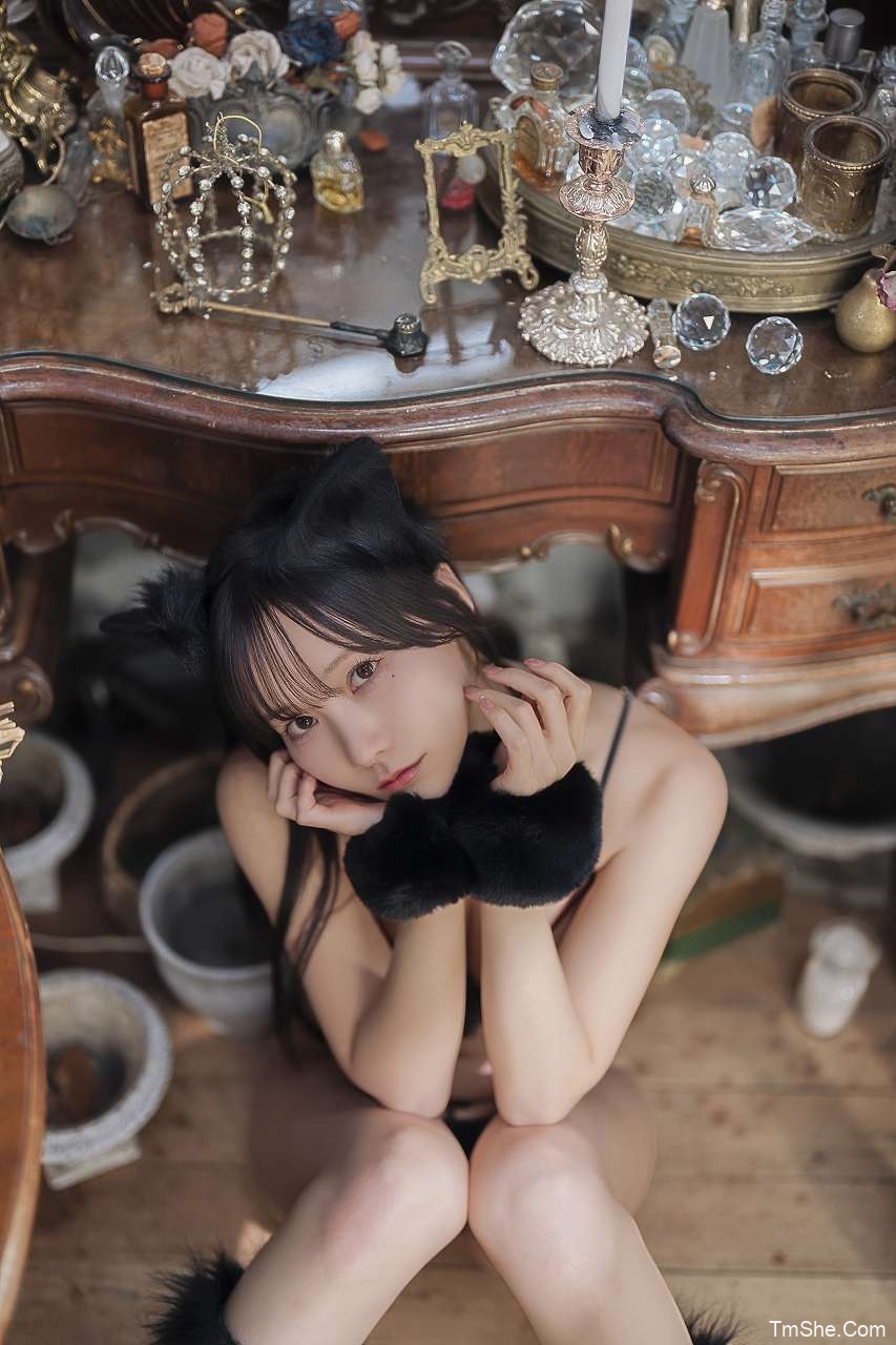 けん研(けんけん) DL写真集 KURO Animals(72P/382MB)-猫萌