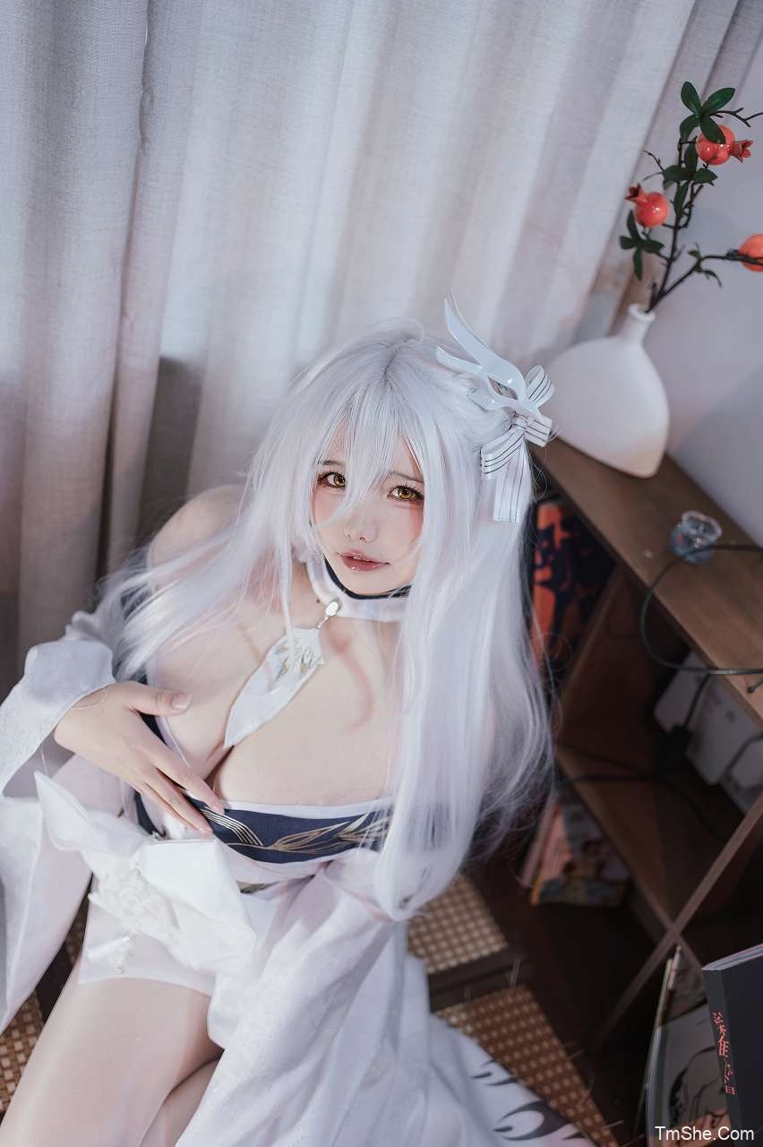 「阿半今天很开心」绘画素材 – 白凤(61P/1V/1.27GB)-猫萌