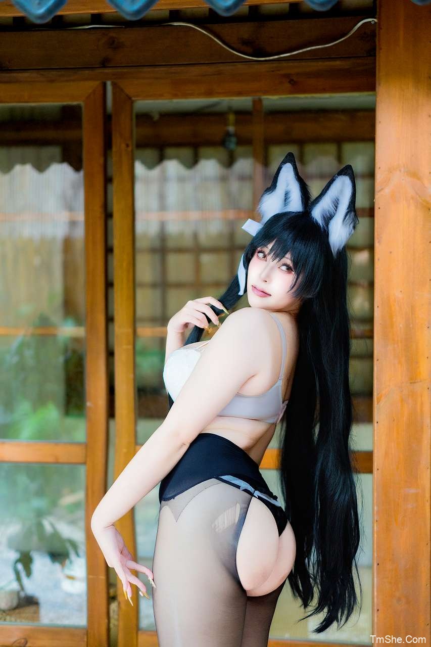 「喵喵lock」绘画素材 – 爱宕舰装(130P/6V/1.87GB)-猫萌
