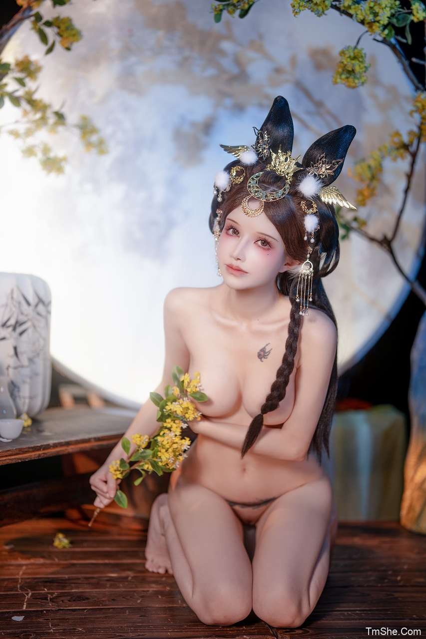 「鹿八岁baby」绘画素材 – 玉兔偎月(253P/3V/2.87GB)-猫萌