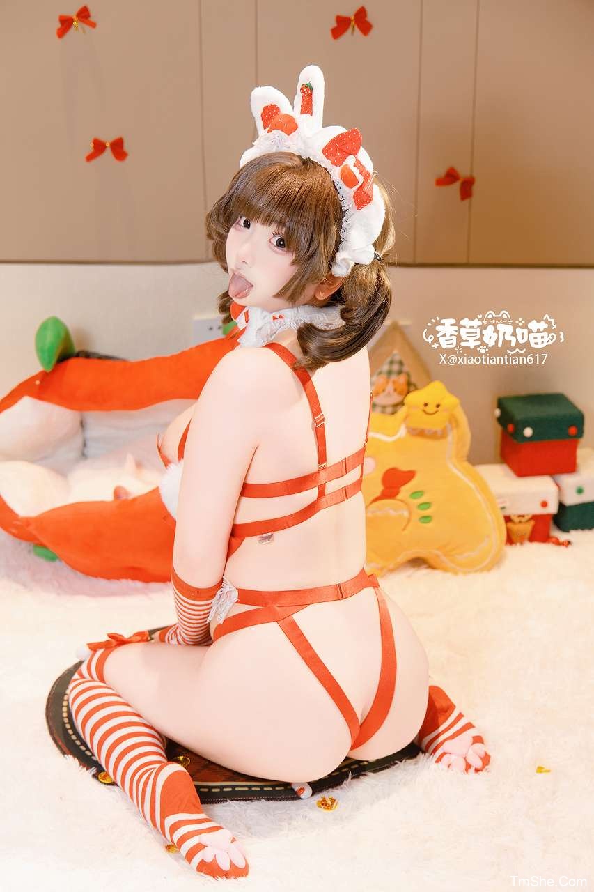 「筱田甜」摄影素材 – 圣诞礼物(135P/25V/6.43GB)-猫萌