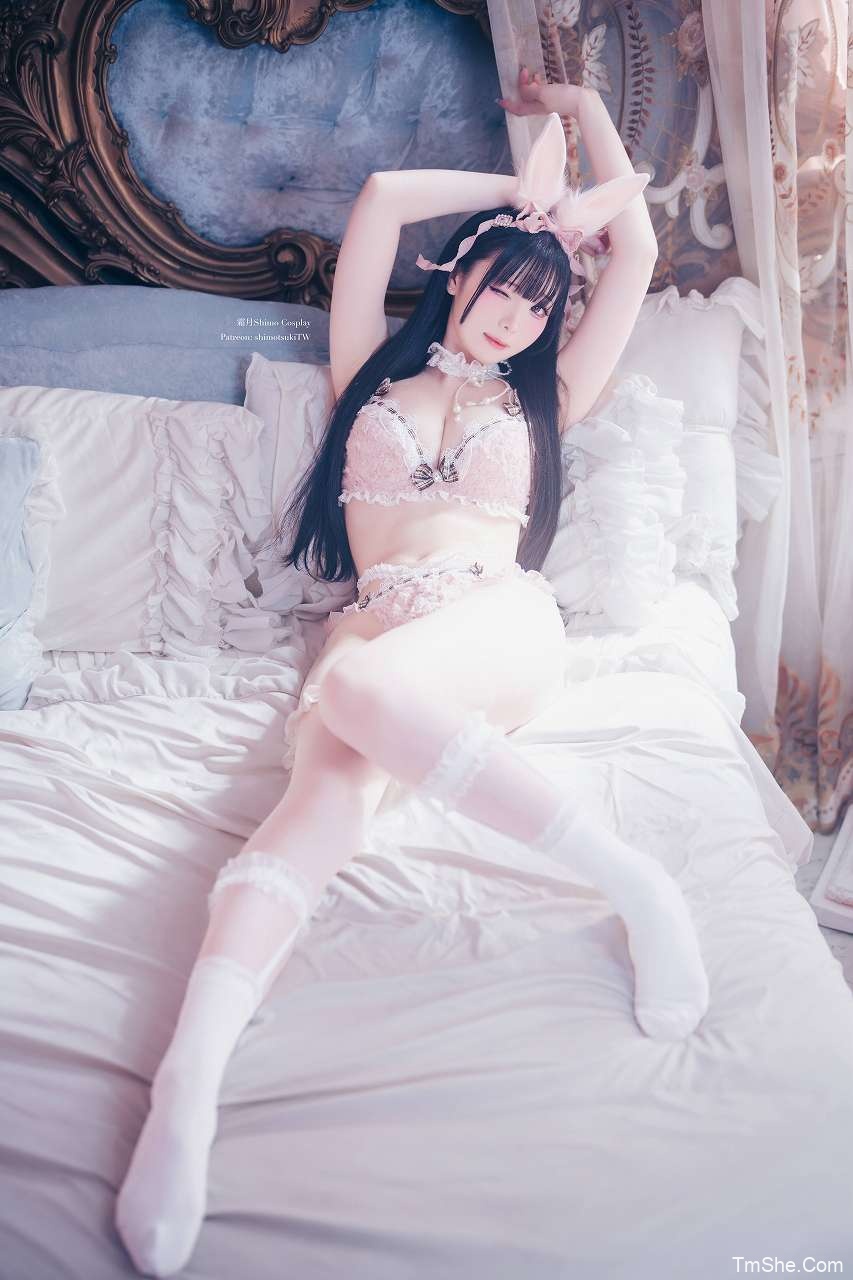 「霜月shimo」绘画素材 - Fluffy Bunny 2026(20P/32MB)-猫萌