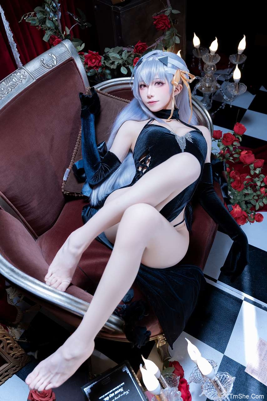 「Tomoyo酱」绘画素材 – Nikke 神罚礼服(23P/110MB)-猫萌