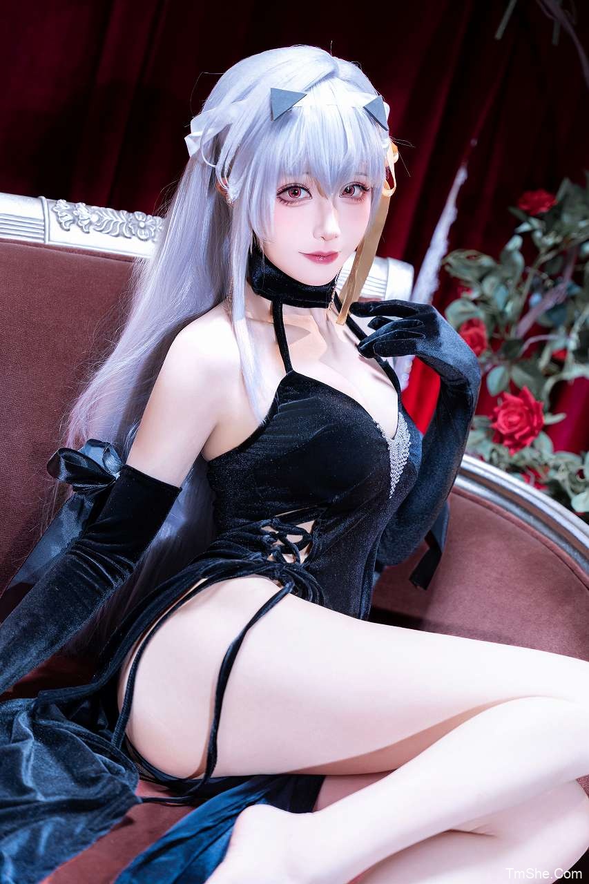 「Tomoyo酱」绘画素材 – Nikke 神罚礼服(23P/110MB)-猫萌