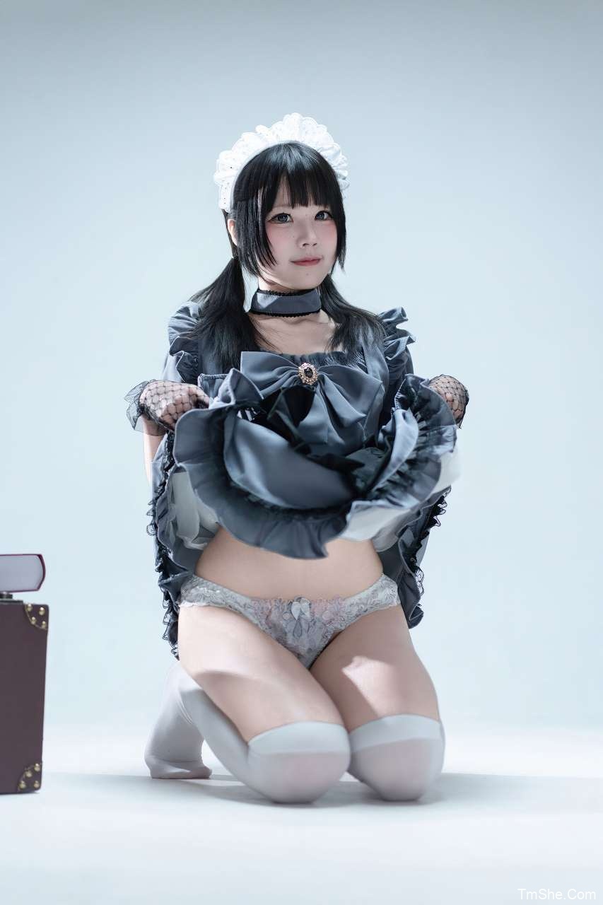 「清水凪」绘画参考 – 手提箱与灰色女仆(80P/795MB)-猫萌