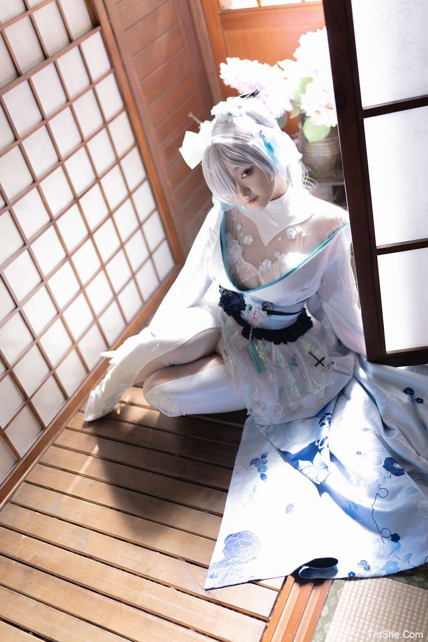 「Mercurius-i」绘画素材 – 灰姑娘Cinderreela(199P/2.78GB)-猫萌