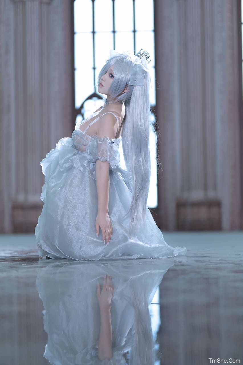 「Mercurius-i」绘画素材 – 灰姑娘Cinderreela(199P/2.78GB)-猫萌