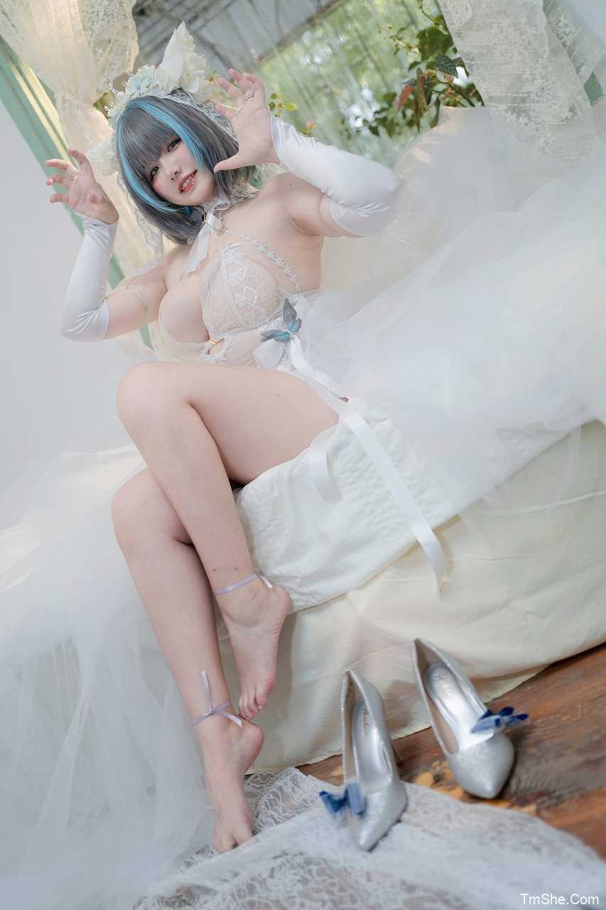 「阿半今天很开心」绘画素材 – 柴郡婚纱&妃咲(213P/5V/882MB)-猫萌