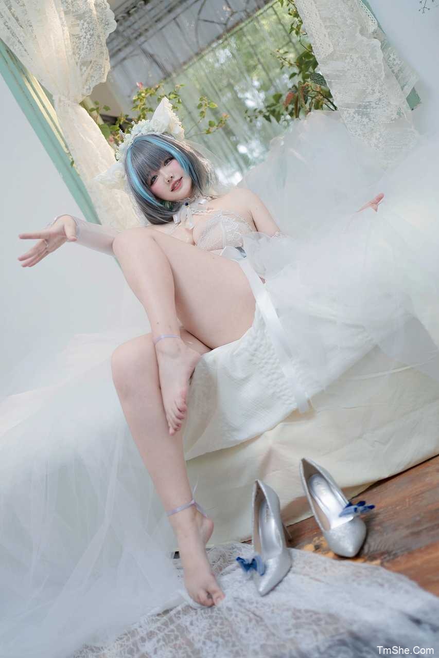 「阿半今天很开心」绘画素材 – 柴郡婚纱&妃咲(213P/5V/882MB)-猫萌