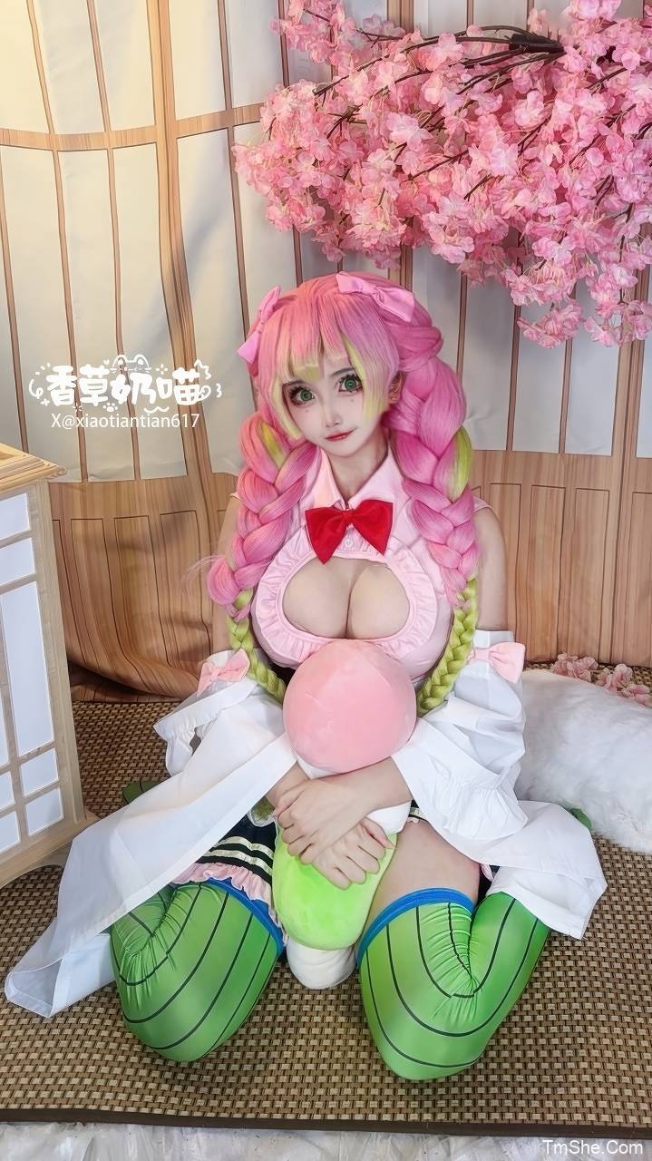 「筱田甜」香草奶喵 电子素材 – 蜜璃女仆(62P/541MB)-猫萌