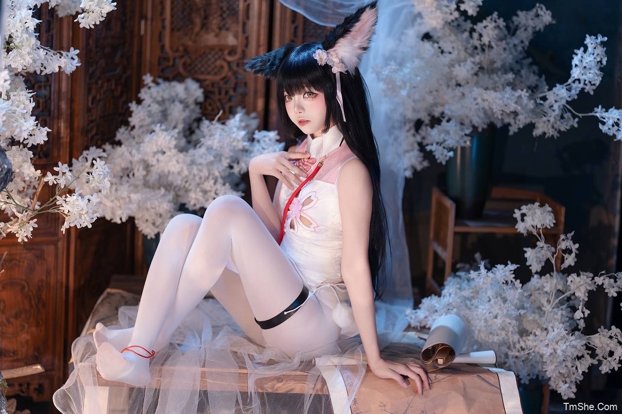 「艾西aiwest」电子素材 – 26年02月(113P/3.25GB)-猫萌