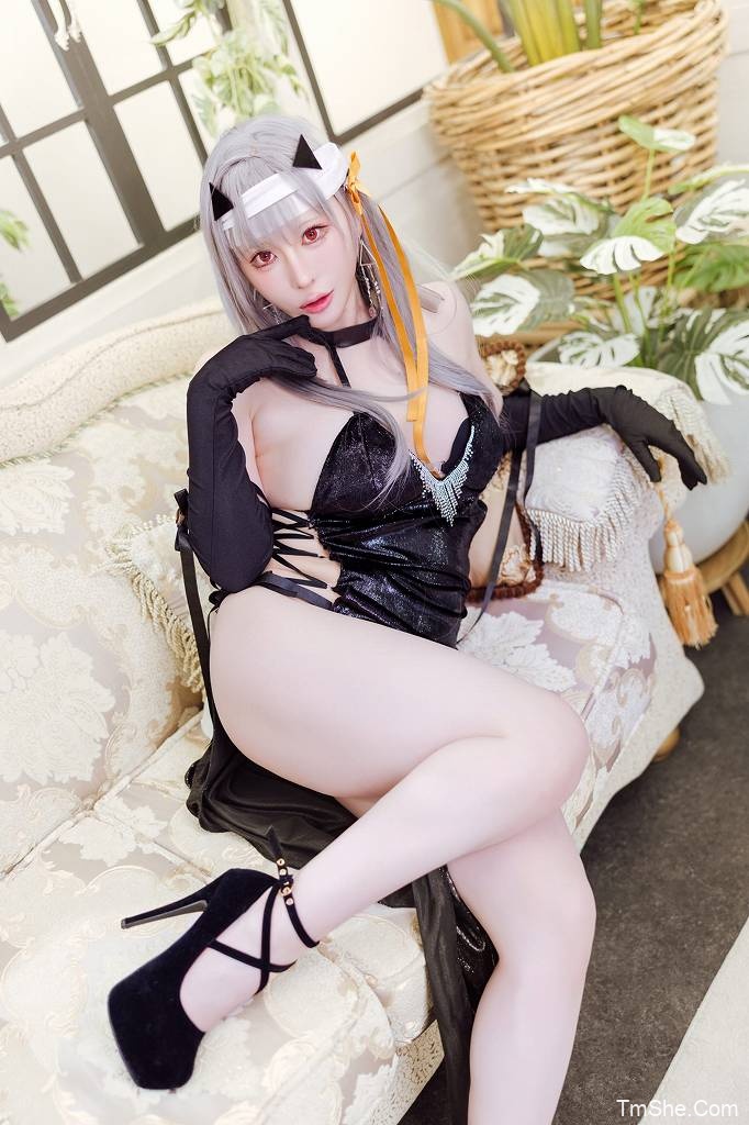 「Usagicos 」绘画素材 – 指揮官 Black Ver(216P/969MB)-猫萌
